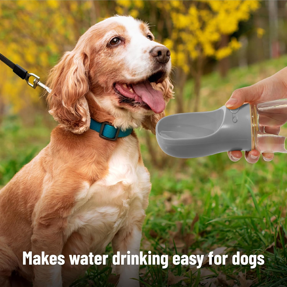 PawTovari  Portable Dog Water Bottle, 19 Oz, Large