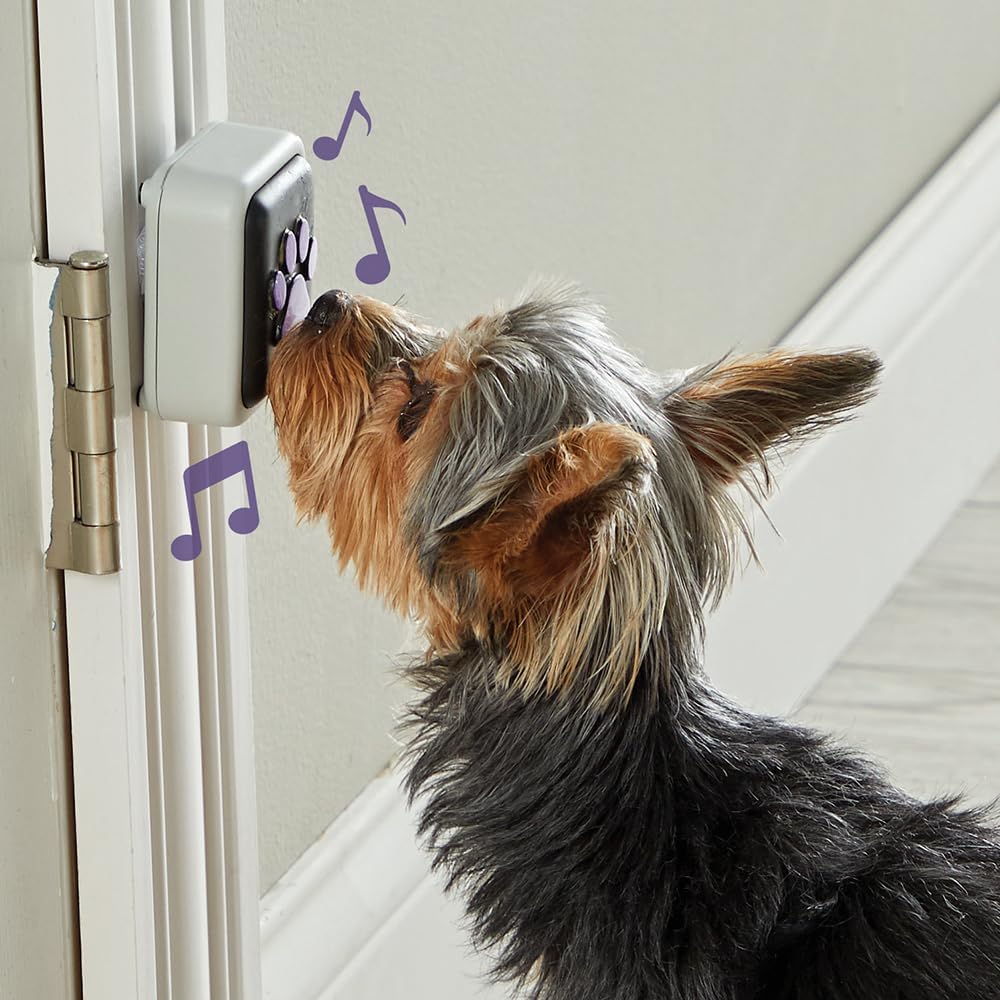 Hunger for Words Talking Pet Doorbell