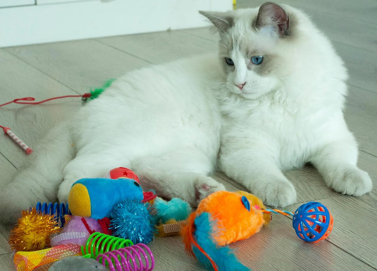 PawTovari PlayPaws 20-Piece Cat Toy Variety Pack