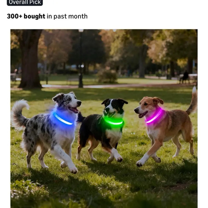 Rechargeable LED Dog Collar Light