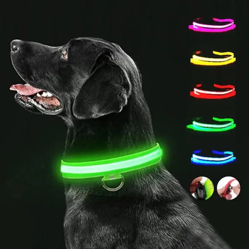 Rechargeable LED Dog Collar Light