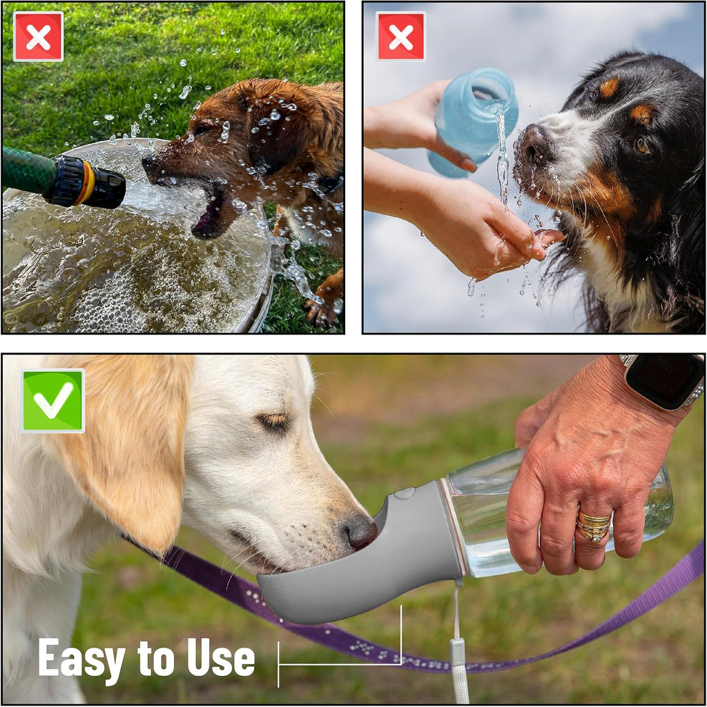 PawTovari  Portable Dog Water Bottle, 19 Oz, Large