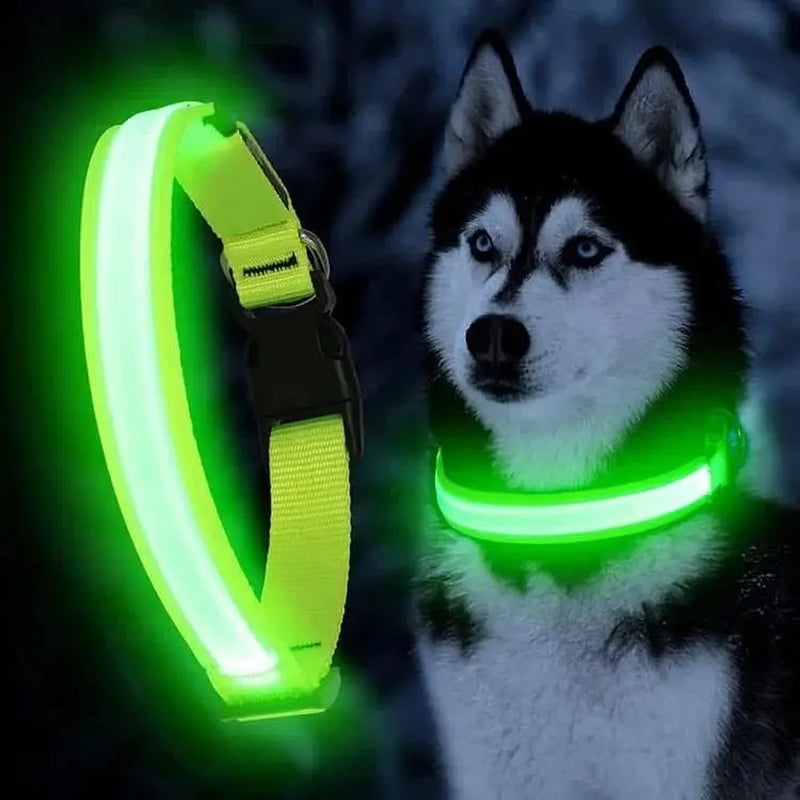 Rechargeable LED Dog Collar Light